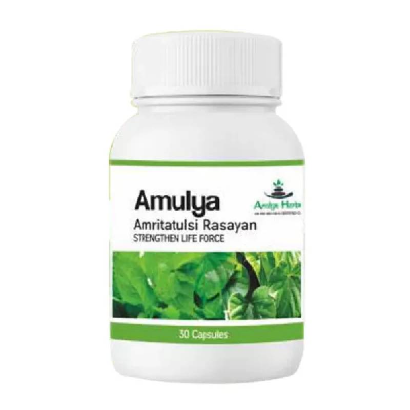 AMULYA AMRITATULSI RASAYAN - Strang then life Force